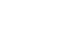 MULTICARGO